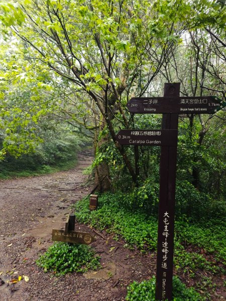 2026年臺北大縱走第一段：關渡至二子坪3010864