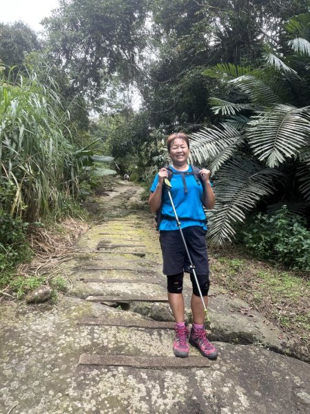 阿里山達娜伊谷、里美避難步道、巨石板步道2909921