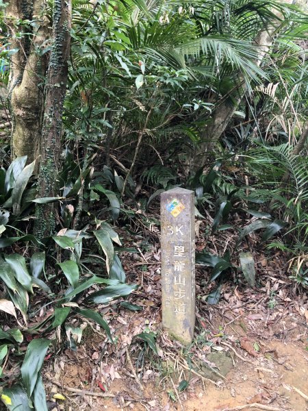 台灣小百岳No.080 里龍山908212