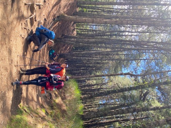 北一段四日半 夢想的中央尖1014533