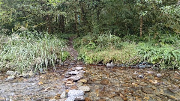 棲松縱走未竟2918335