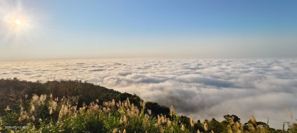 #觀音山 #雲海 #夕陽 #天空之城 #大赤鼯鼠（飛鼠） 2/132999443