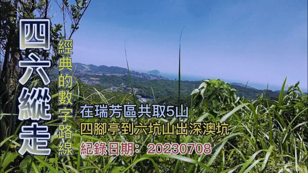 四六縱走(四八縱走),經典的數字路線,四腳亭火車站走到六坑山出深澳坑路,瑞芳區共取5山,初遇虎頭蜂襲擊