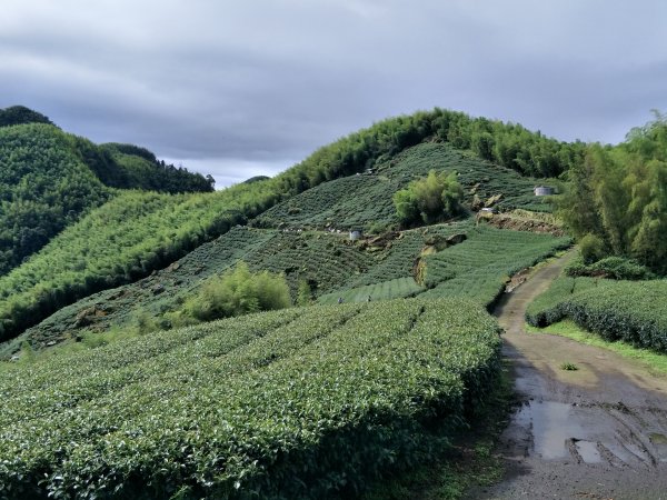 篤鼻山、出水坑步道202105051419593