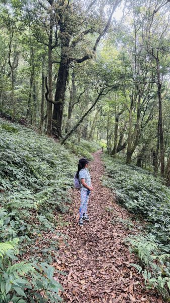 20250427小百岳石壁山2776723