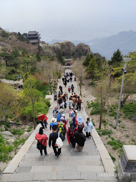 中國山東東嶽泰山風景區 (登頂與下山)、曲阜闕里比鄰高級民宿2780468