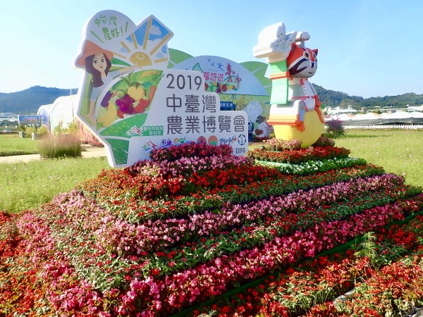 2019新社花海2019/11/12734666