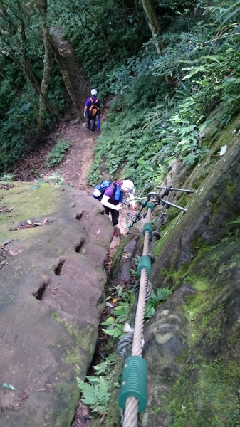 五寮尖登山步道41091