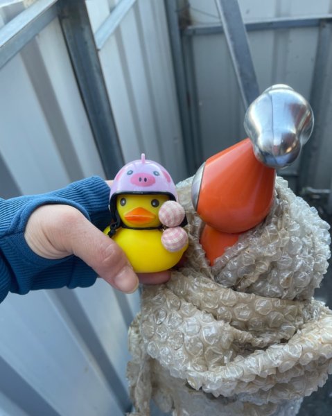 基隆尋找7隻傘人家族2712718