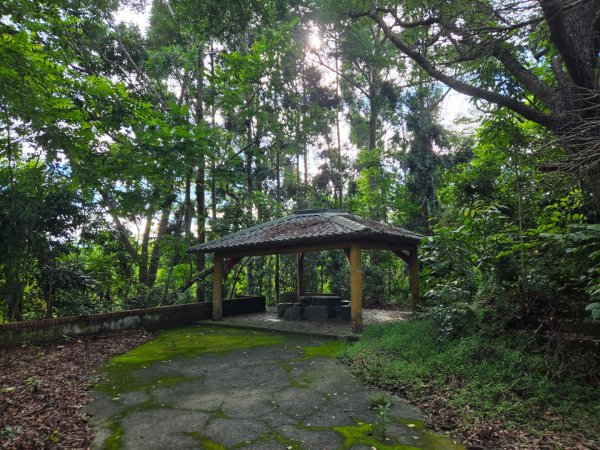 虎頭埤環湖步道（新化虎頭山）2890923