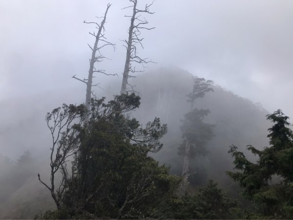 埔里六秀、中部四大名山:守城大山         隊名:鯛魚燒埔里訓練1506115