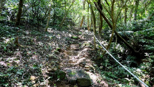 中山峽谷步道,海興步道,情人湖登山步道2581361