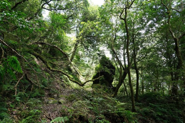 新北 烏來 山車廣山、檜山2567410