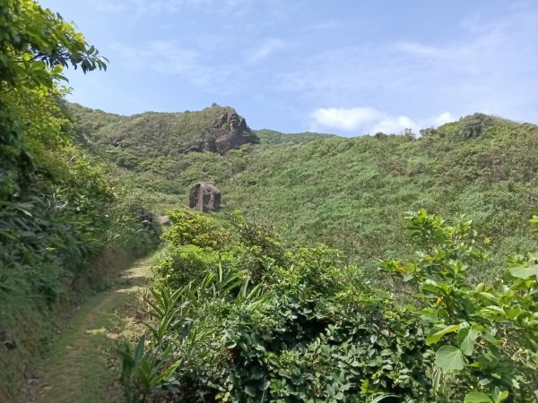 瑞芳區海園古道+鼻頭山稜+門牙岩O型2768343