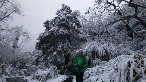 冰雪奇緣歷險記～加羅湖（未盡）1237569