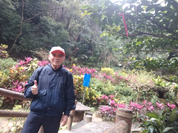 圓覺寺步道1453881