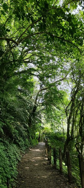 新竹內灣．馬胎古道202506212823498