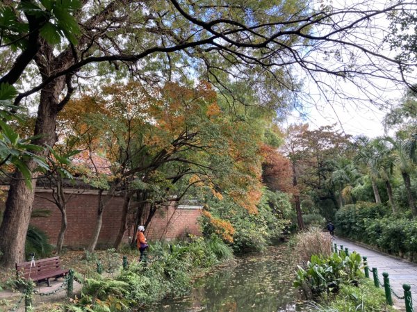 【南山神壽任務尋寶趣】徜徉台北植物園步道1575623