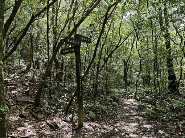 2025_0601 赫威山2802306