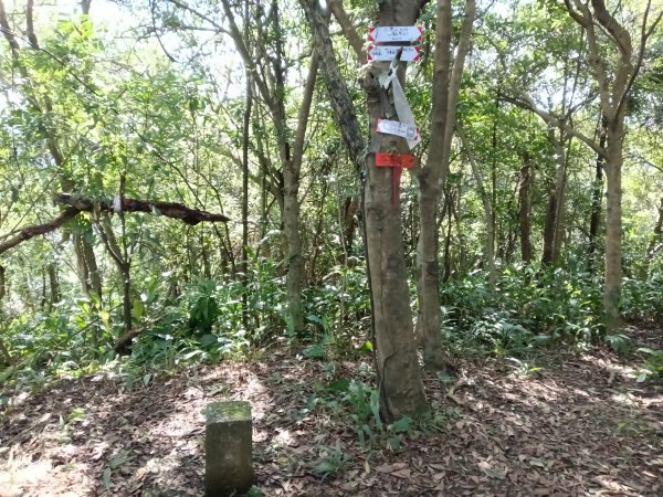 基隆市/萬里區界寮縱走之三界山+三界山西峰+開眼尖山+七分寮山+瑪七產道山泉水接水亭2979560