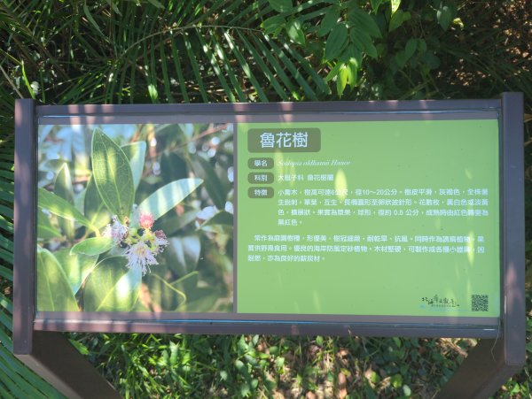 2025.09.13－情人湖步道&大武崙山2885825