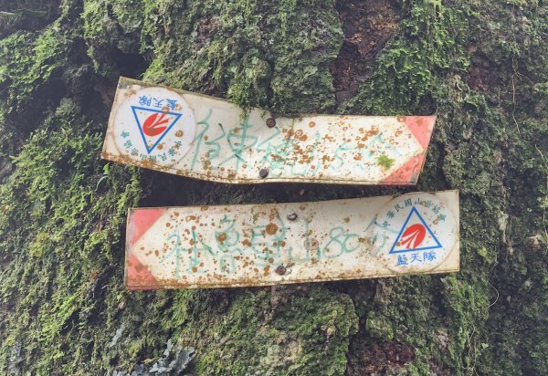 【中級山縱走】魯壁山，東穗山，大島田山，宇老觀景台2771653