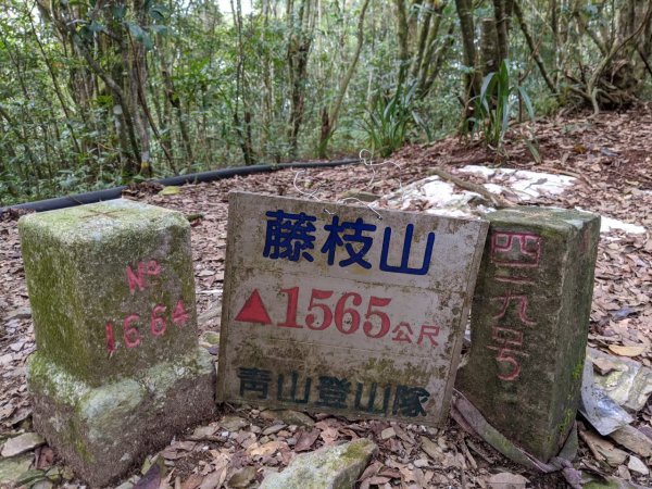 No.68 藤枝山 高雄市桃源