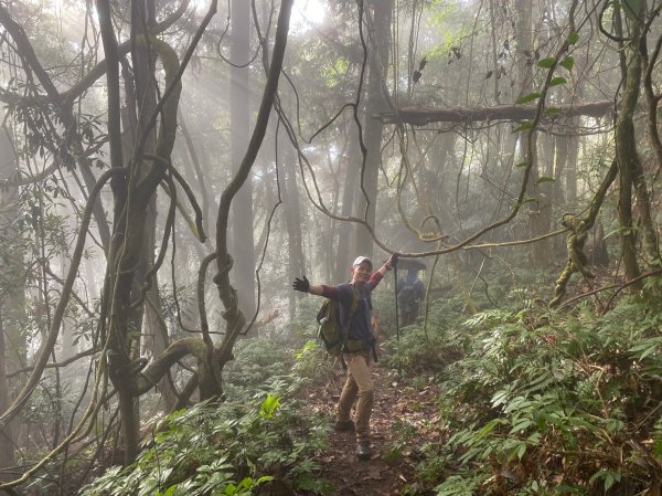 馬那邦山.細道邦山【你 不能預判山的變幻莫測】2401525