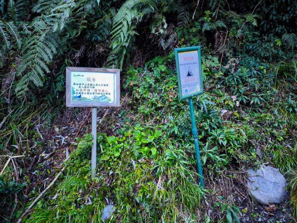 2026-02-09 庫哈諾辛山2998828