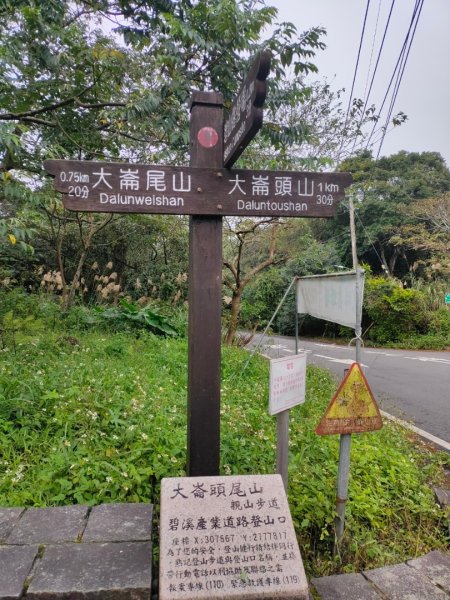 ［大崙頭尾山5連峰下白石湖］2393086