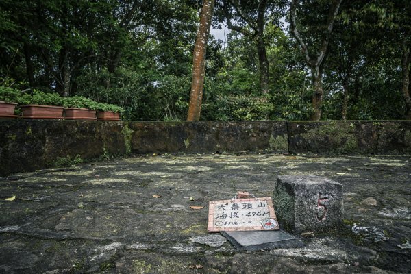 2020-4-8大崙頭山1409232