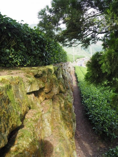 嘉義二延平步道觀雲瀑20181208478138