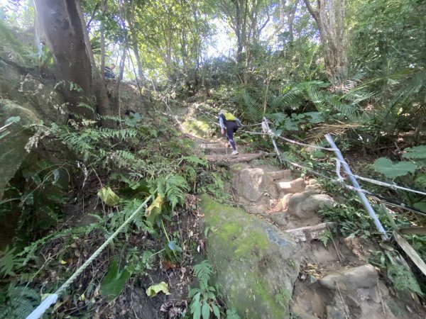 2025微笑山線大縱走尋寶集章任務-Ep.03【鳶山山系】鳶山彩壁段2893663