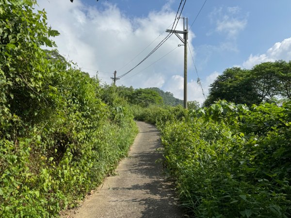 台南市南化區、高雄市杉林區交界小百岳NO.70刣牛湖山2329419