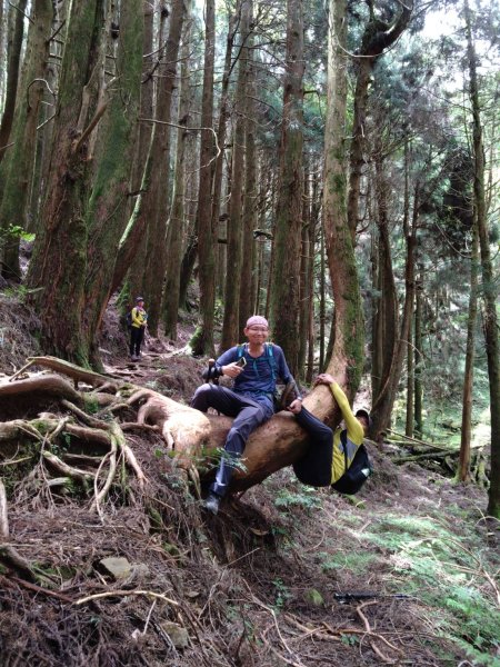 20250517義義兒玉山-東水山2791640