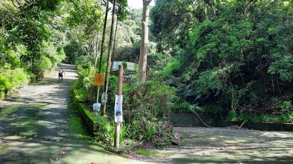 《台中》秋虎飆汗｜潭子新田登山步道上聚興山O繞202409152594068