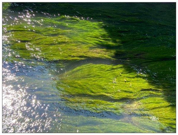 銀河洞瀑布、待老坑山、樟湖山、樟山 連走2791787