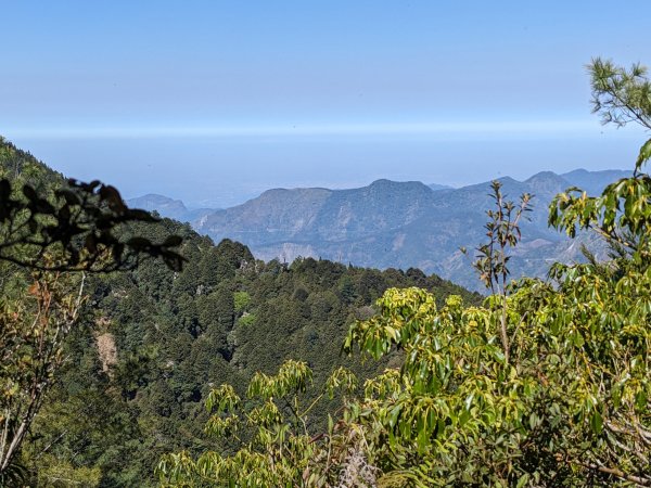 幾乎包場的兒玉山(自忠山)走東水山接特富野古道2548663