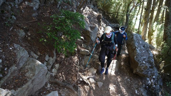 池有山單攻登山健行趣(百岳52)1515303