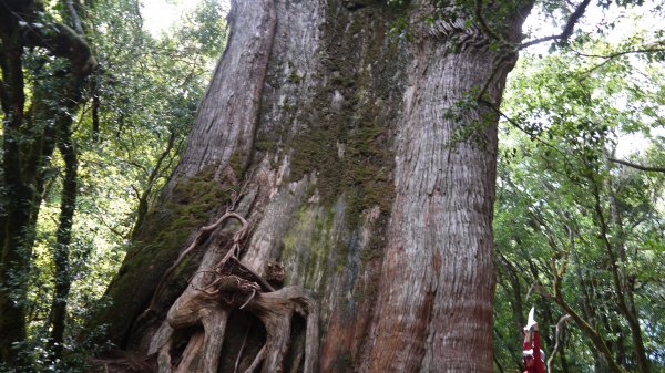 馬武佐野郡山登山健行趣(中級山)1508843