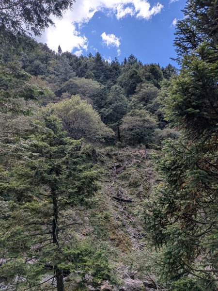 結界縱走三日(結城山、境界山、檜山)2920910