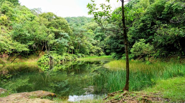 柯子林保甲路,如意湖,五指山古道2848896