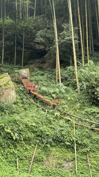 20251005小百岳金柑樹山2906987