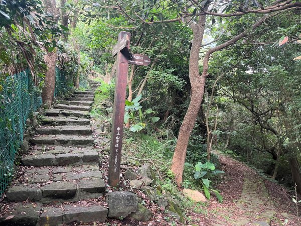 [走遍陽明山]2023_0625_中正山步道2207566