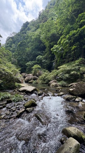 戲水（鴛鴦2786691