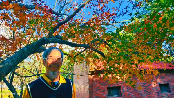 #花卉試驗中心 #永公路500巷 #平菁街42巷 #原住民公園 #士林官邸 1/42976639