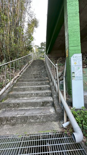 樟之細路三坑到關西3015331