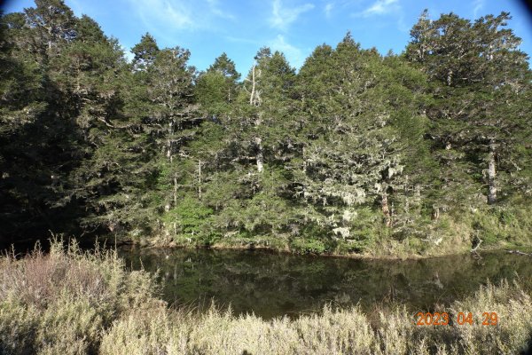 南投 仁愛 武法奈尾山2133761