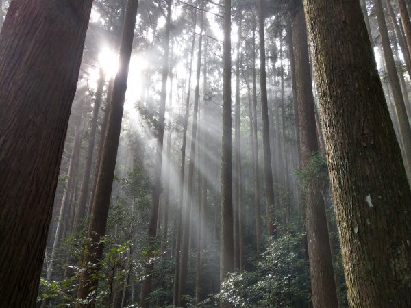 台版富士山「加里山」(小百岳#34) 2020/12/191424797
