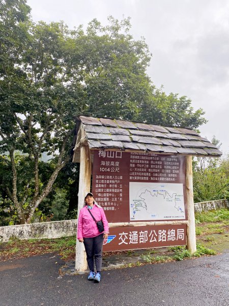 南橫小關山林道登留佐屯.小斯拉巴庫美瓏山1233418